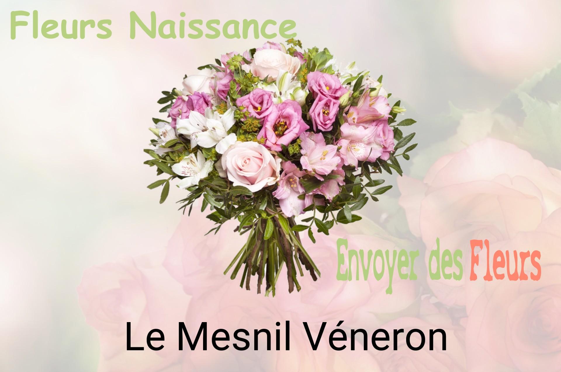 Bouquet de fleurs de naissance livré à Le Mesnil-Véneron